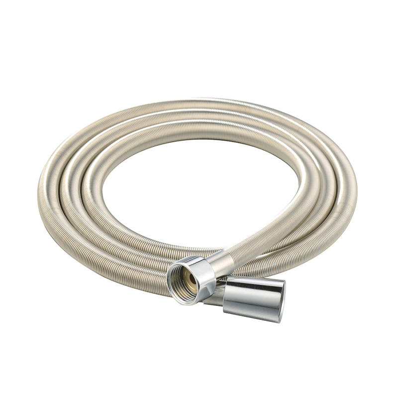 RT-L010 Stainless steel shower flexible hose
